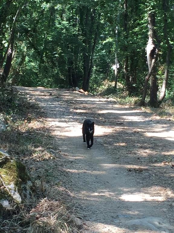 B&B Oca Nera Lerici Zewnętrze zdjęcie